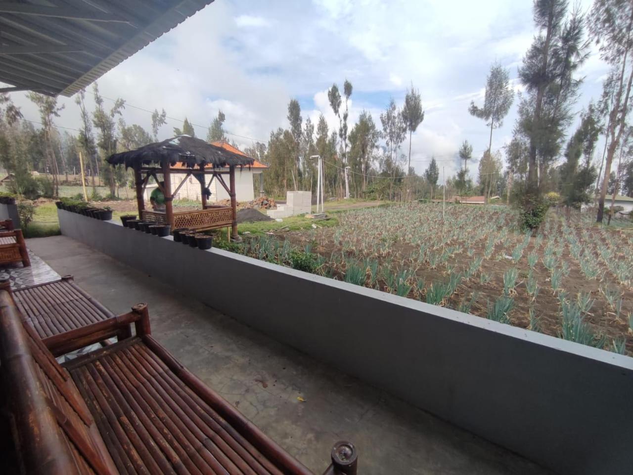 Elen Homestay By Abm Bromo Exteriér fotografie