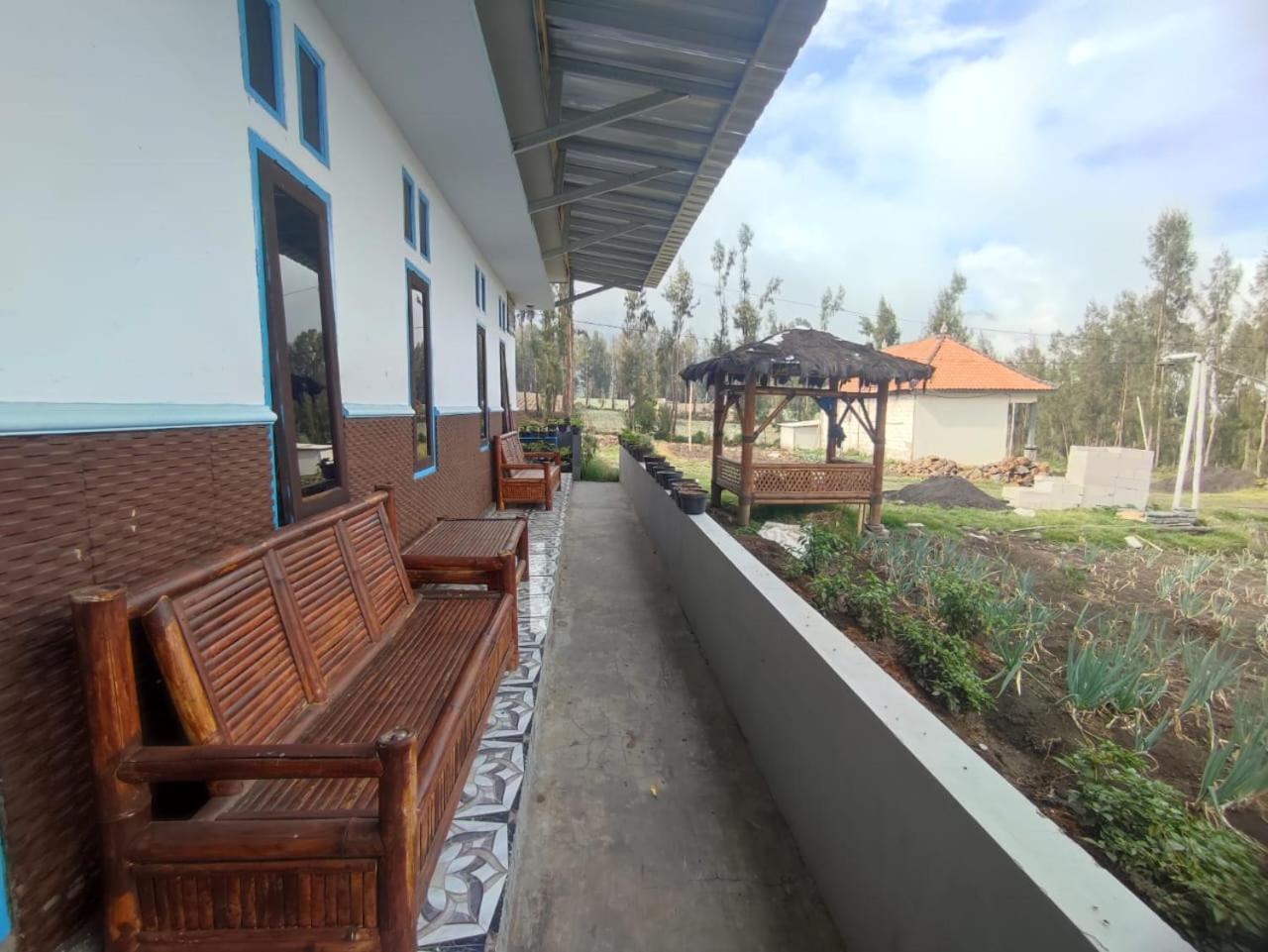 Elen Homestay By Abm Bromo Exteriér fotografie